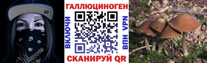 Псилоцибиновые грибы мухоморы  Орехово-Зуево 